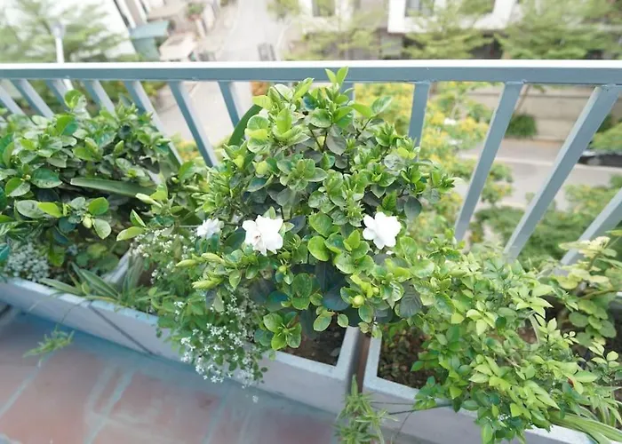Rosemary's * Hạ Long